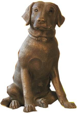 suzie_marsh_sitting_labrador_nelly_L